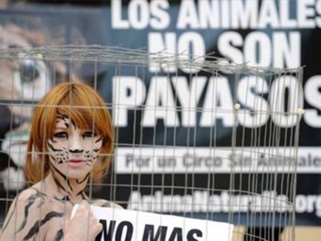 Lucero cazando animales.'La red social'con Leo Luna