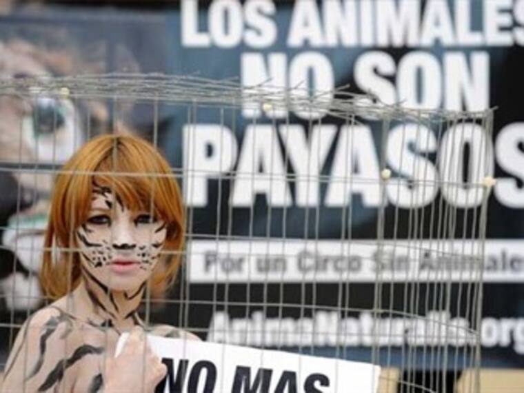 Lucero cazando animales.'La red social'con Leo Luna