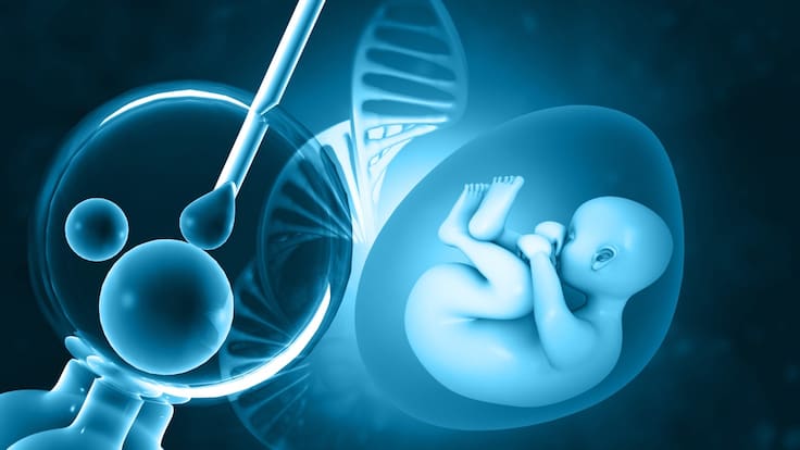¿Cómo influye la genética en el desarrollo de los niños?