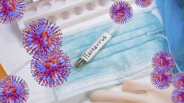 Hantavirus: ¿Cuáles son los 13 países con casos confirmados?; Vigilancia y medidas de seguridad sanitarias encienden las alarmas
