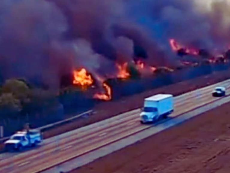 Las imágenes satelitales muestran una enorme columna de humo sobre Florida. X