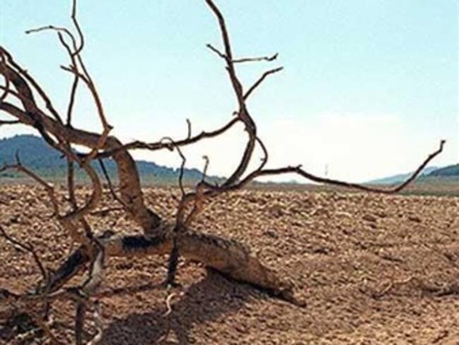 Propone ONU impuestos para financiar lucha contra calentamiento global