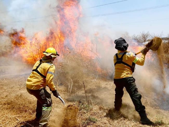 La CDMX registra 888 incendios forestales en lo que va de 2021