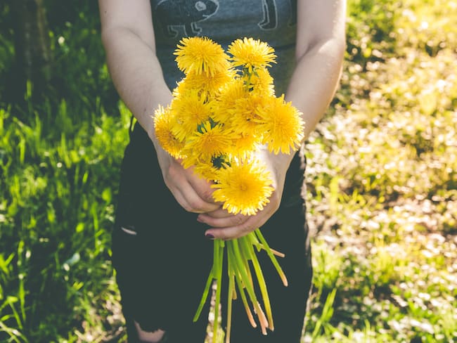¿Qué tipo de flores amarillas regalarás este 21 de septiembre?