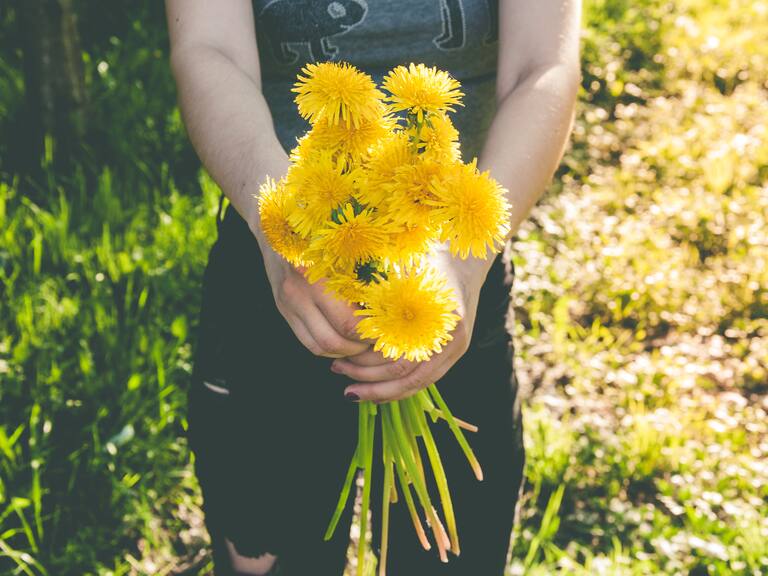 ¿Qué tipo de flores amarillas regalarás este 21 de septiembre?