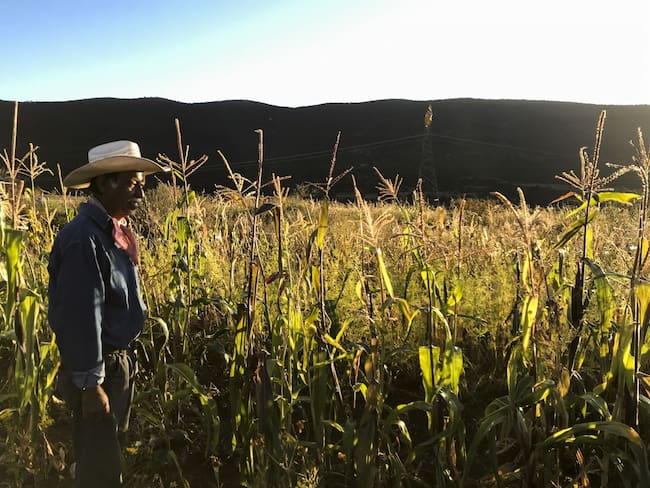 Senadores impulsan reforma a Ley Agraria para incluir a corredores públicos