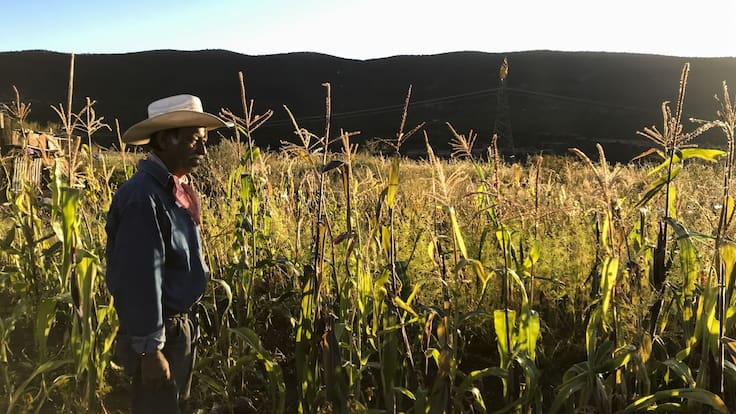 Senadores impulsan reforma a Ley Agraria para incluir a corredores públicos