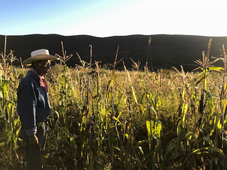 Senadores impulsan reforma a Ley Agraria para incluir a corredores públicos
