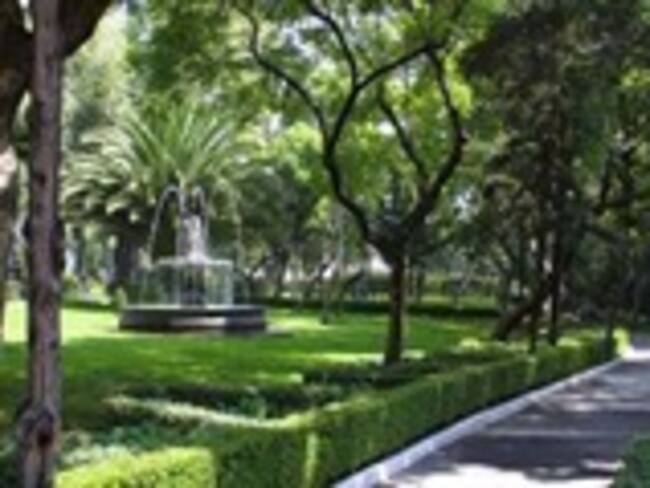 Echan una mirada a la recuperación y visita de Bosque de Chapultepec