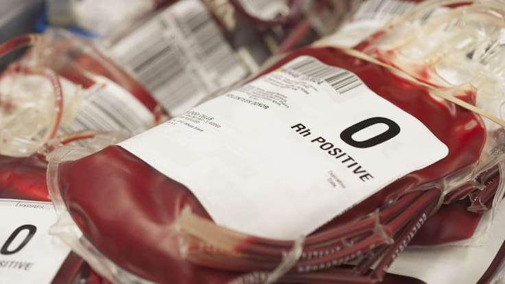 Oda a la sangre: células y plasma que alimentan nuestro organismo