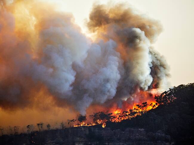 ¿Cuáles son las afectaciones a la salud por incendios forestales?