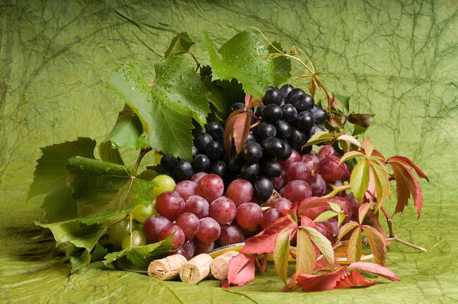 Uvas gracias a los dinosaurios