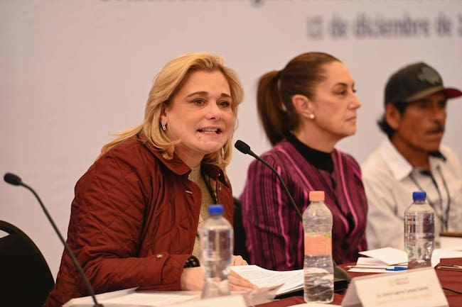 De acuerdo con la Ley, la gobernadora de Chihuahua tendría que ser llevada a juicio político y enfrentar una pena de entre 5 y 40 años, tras operativo que involucró a agentes de la CIA, señala el periodista Raymundo Riva Palacio.