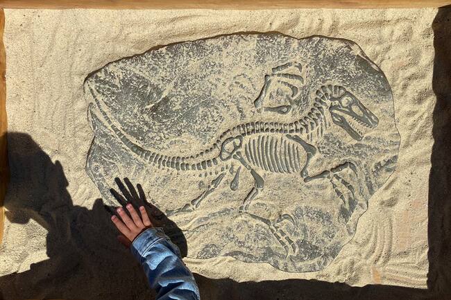 Gracias a los dinosaurios existen las uvas y el vino