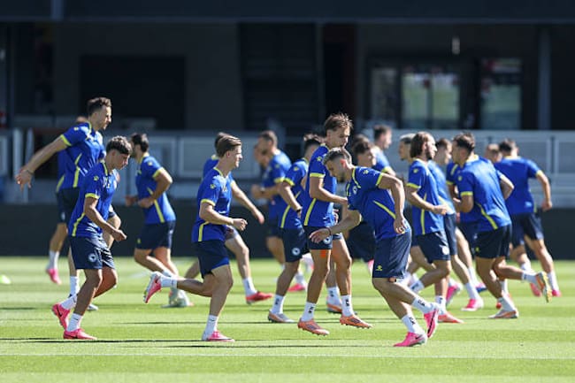Selección Bosnia y Herzegovina