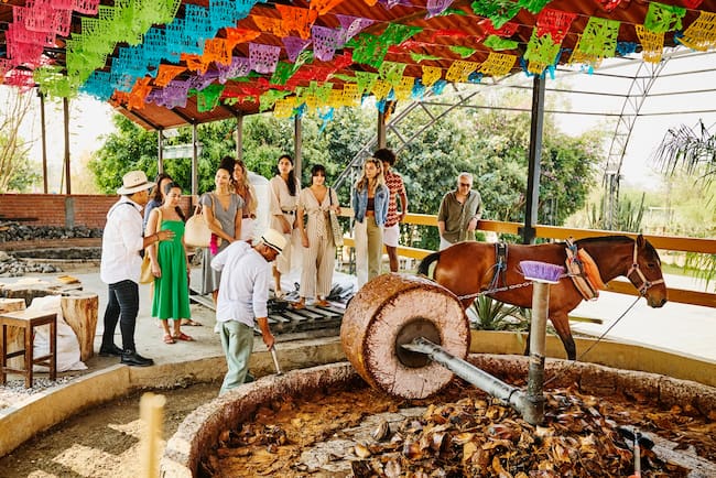 Crece el turismo del agave y el tequila: “cada persona que se va contenta de una experiencia tequilera es un embajador nuevo del tequila en el mundo", afirma el productor Bruno Barba.