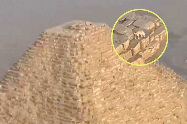 Perro pirámide Egipto