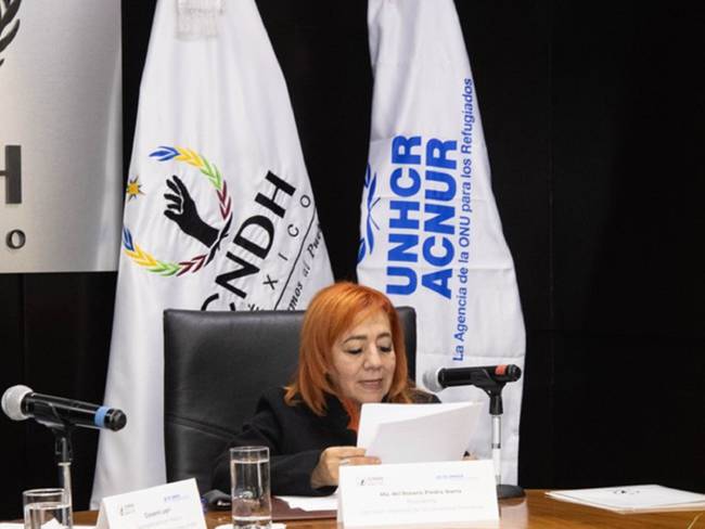 Consejo Consultivo de la CNDH no se tomaba en cuenta: Tania Espinosa