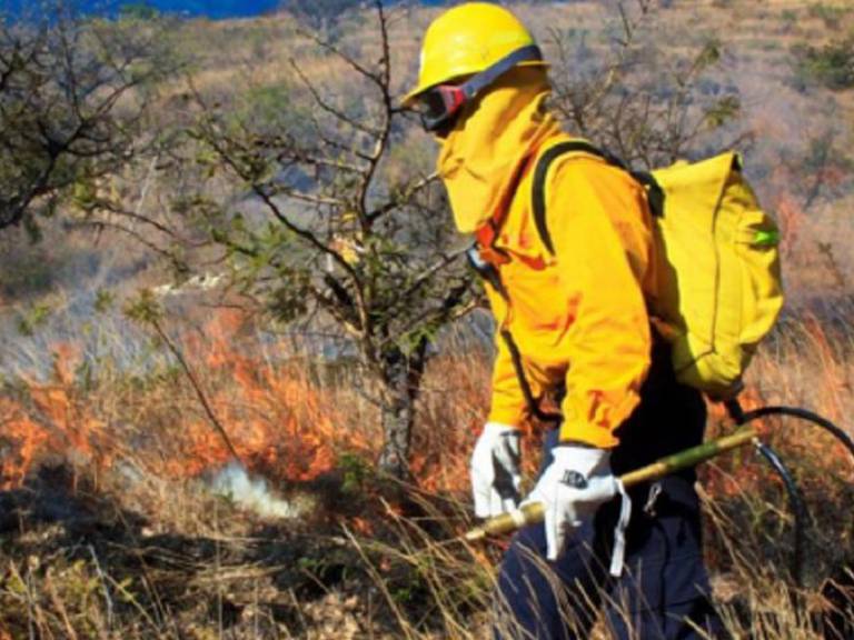 Hay 26 incendios activos en el país: Conafor